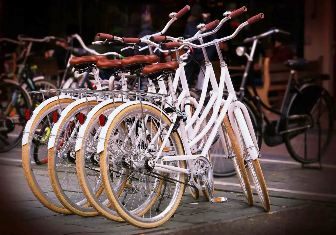 Duurzame fietsvakantie in Nederland