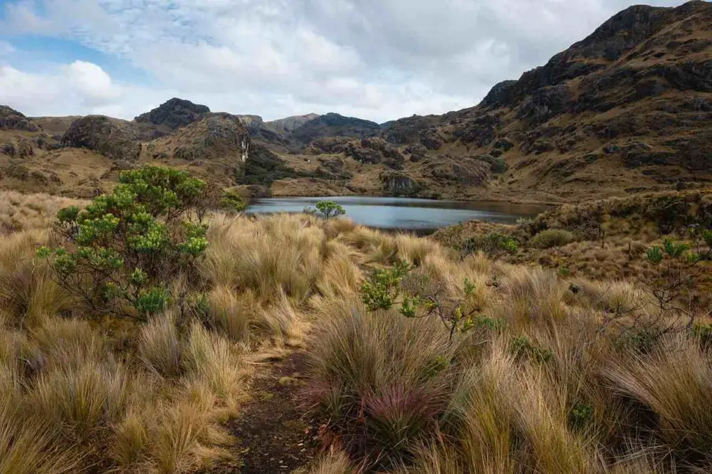 ecuador-wetland-natuur-meer