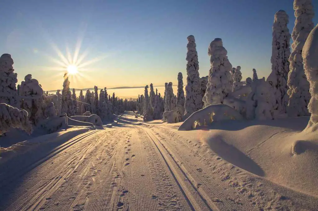 Lapland-sneeuw-zonsopkomst
