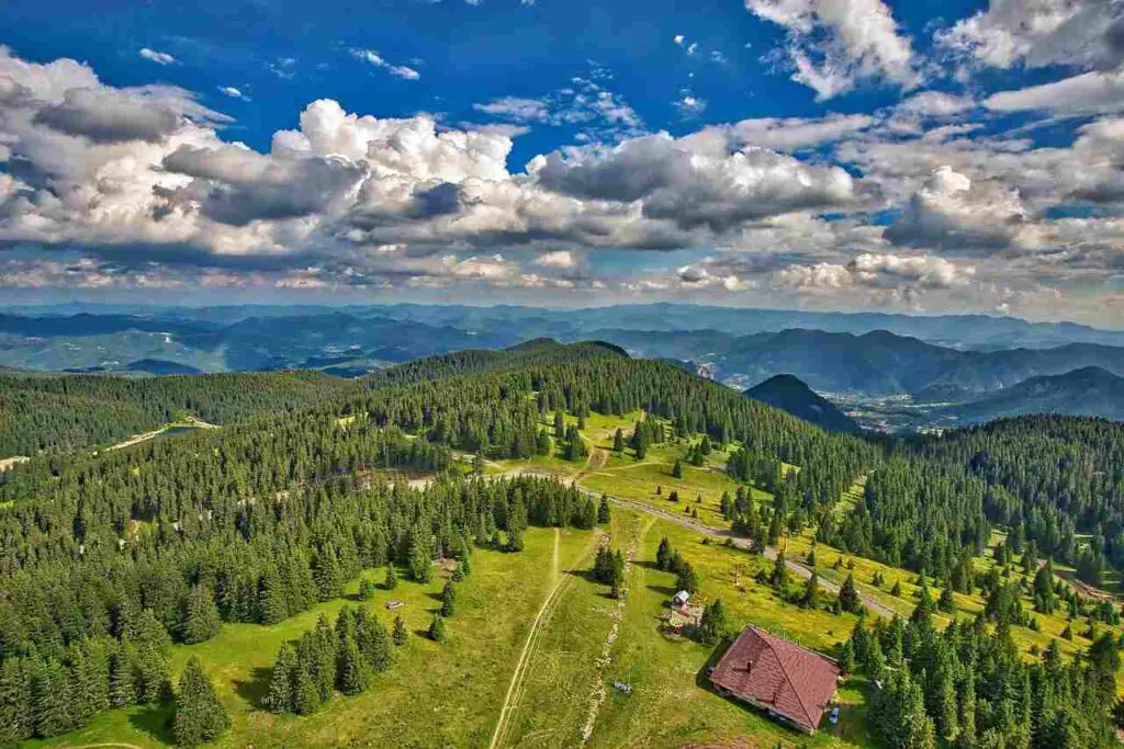 landschap-bulgarije-bergen-bos