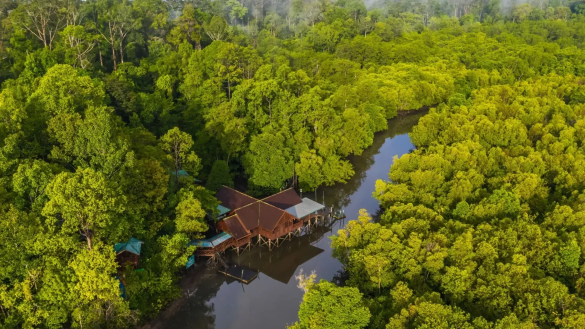 De natuur in Mexico: Alles wat je moet weten!