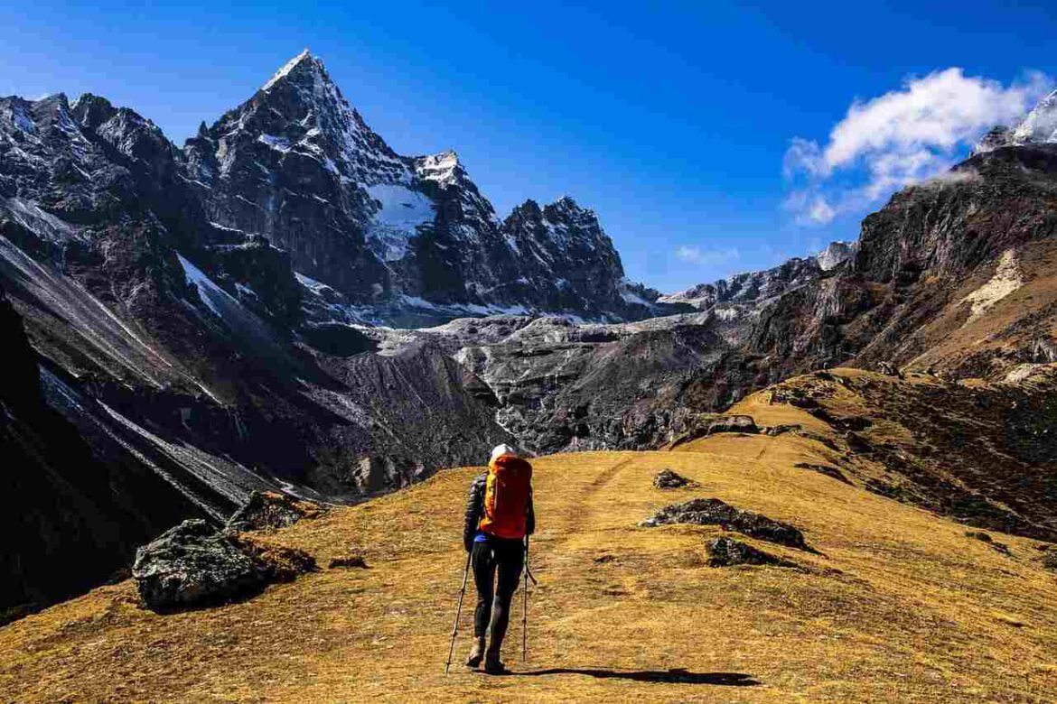Top 3: Beste Nordic Walking Stokken 2025 [Écht getest!]