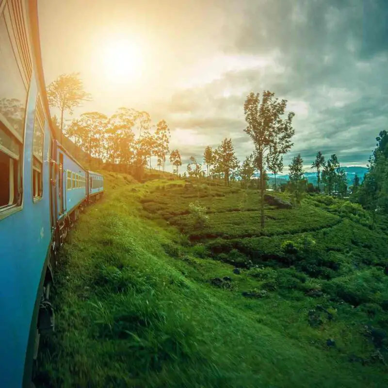 sri-lanka-trein-door-natuur-zonsondergang