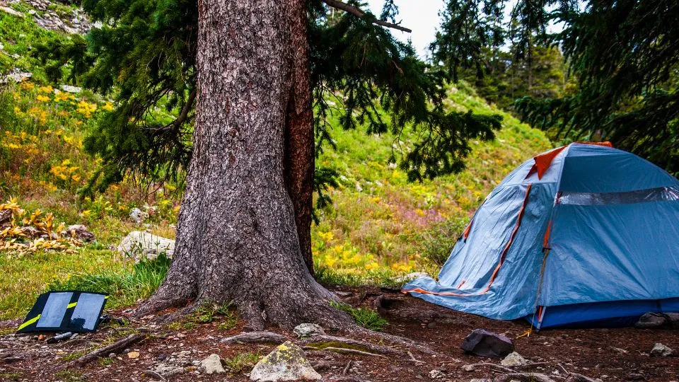 camping zonnebrand adventure wise tent