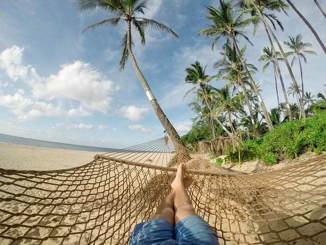 hangmat-strand-palmbomen