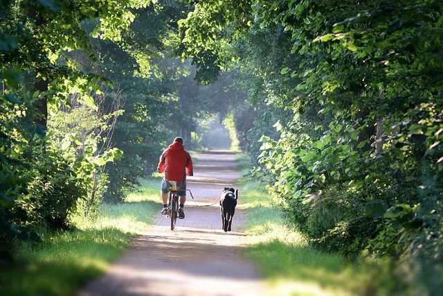 fietsen met hond vakantie