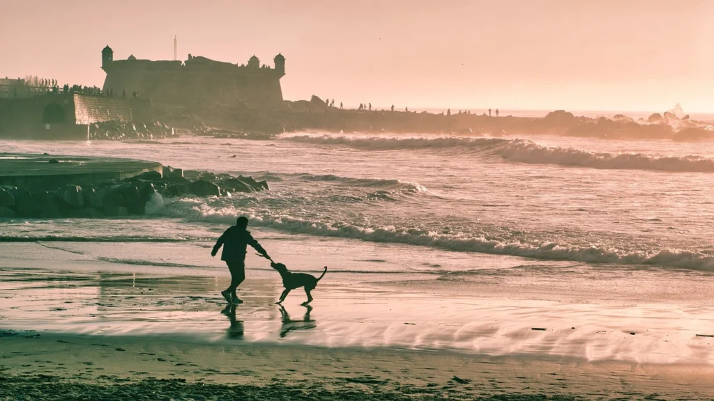 vakantie met hond op het strand