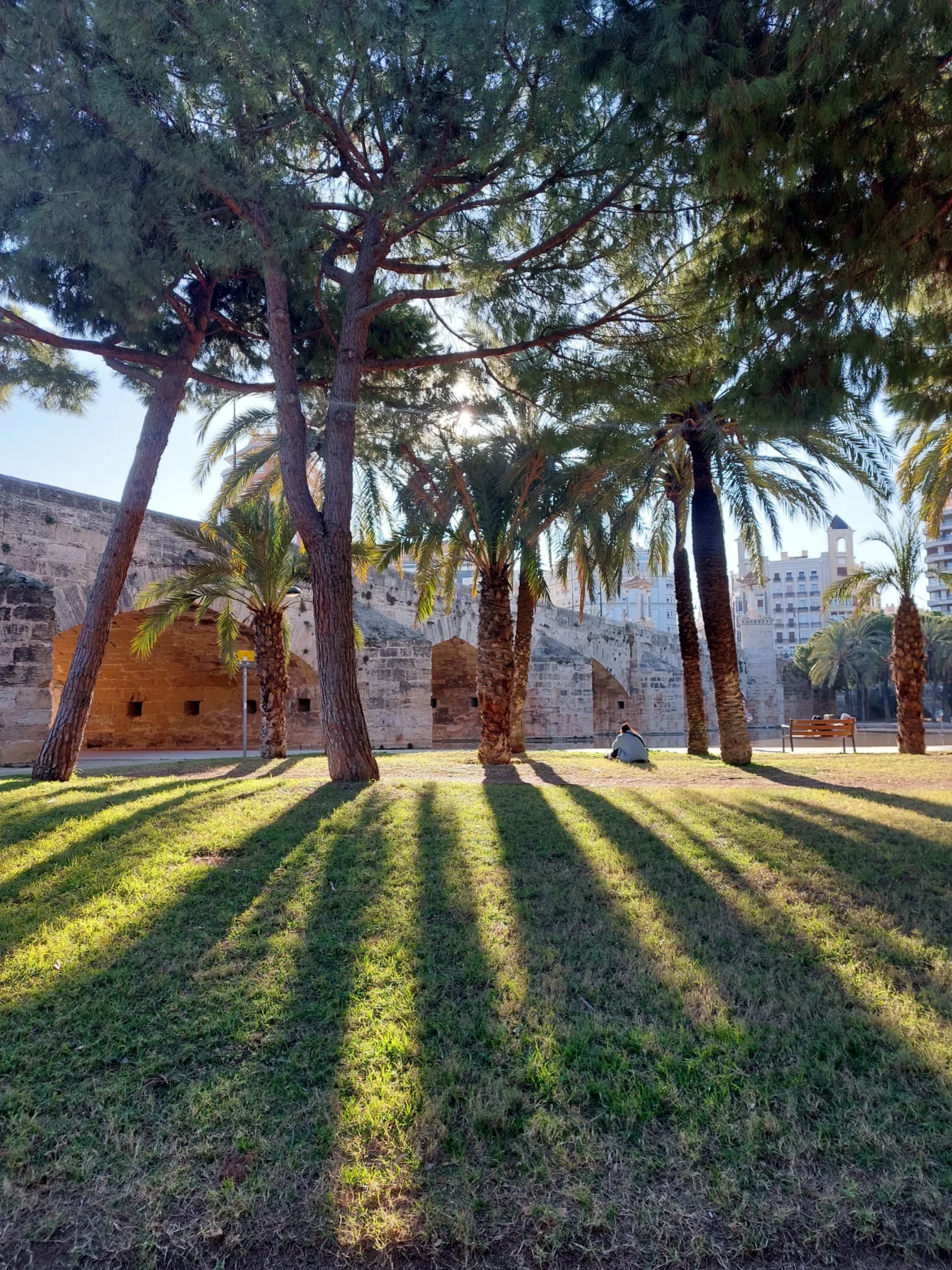 10 duurzame activiteiten in Valencia